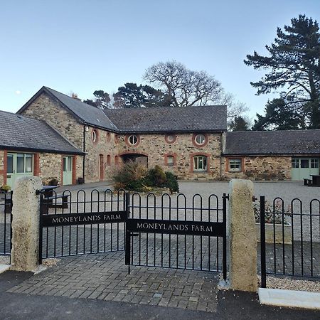 The View At Moneylands Villa Arklow Buitenkant foto
